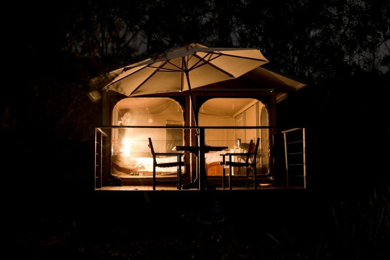 Wild Nature Lodge, Mareeba Wetlands Biboohra Luaran gambar