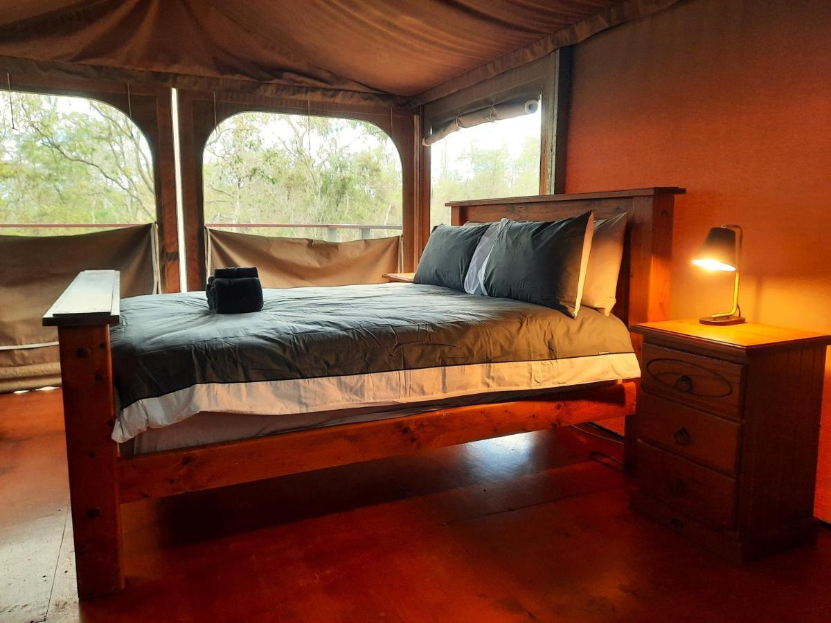 Wild Nature Lodge, Mareeba Wetlands Biboohra Luaran gambar