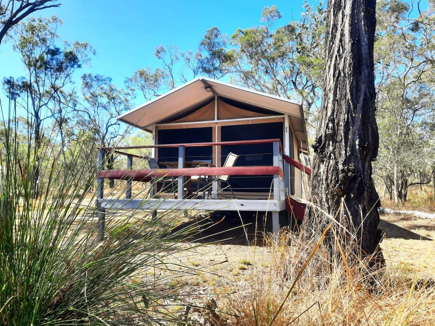 Wild Nature Lodge, Mareeba Wetlands Biboohra Luaran gambar