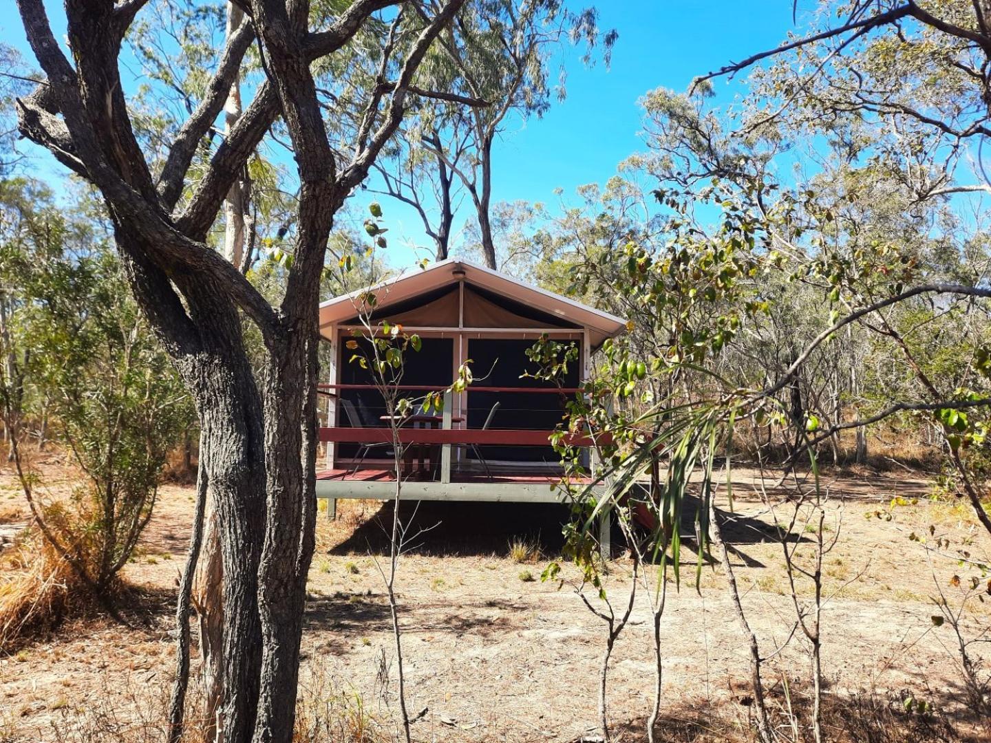 Wild Nature Lodge, Mareeba Wetlands Biboohra Luaran gambar