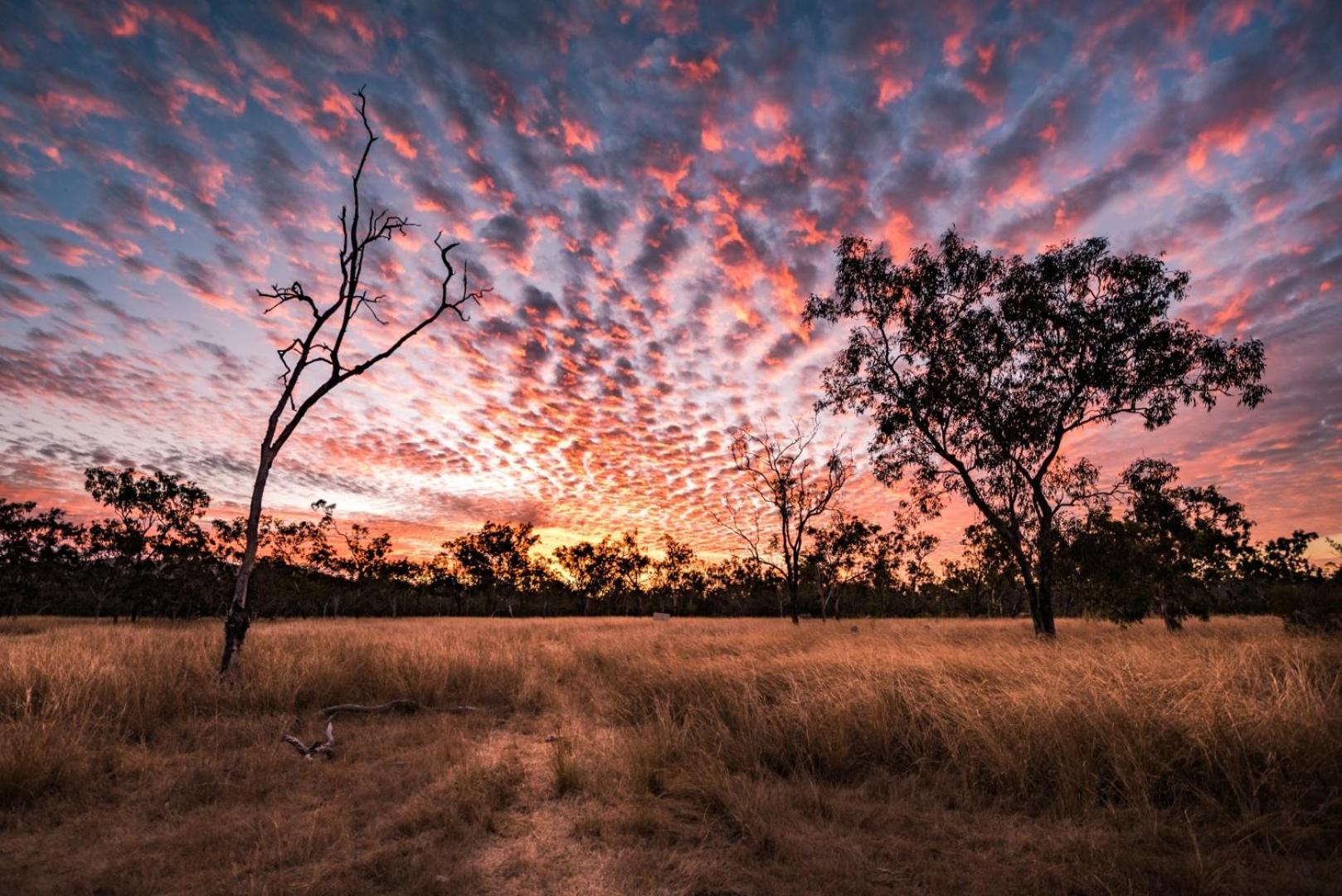Wild Nature Lodge, Mareeba Wetlands Biboohra Luaran gambar